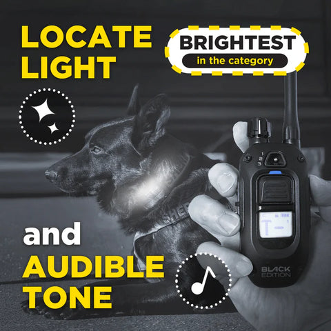 GPS Dogtra 1200X Black Kit 1-Chien