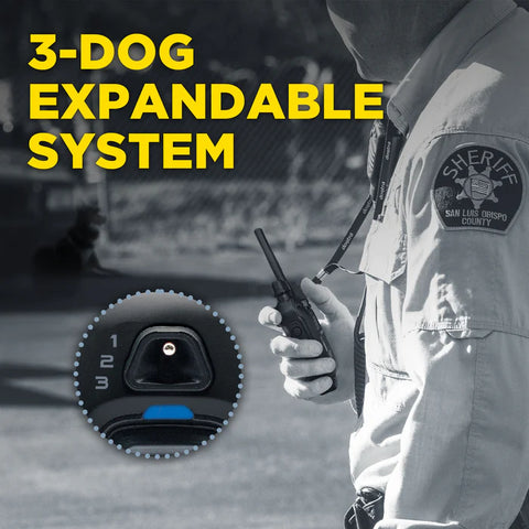 GPS Dogtra 1200X Black Kit 1-Chien