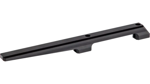 Rail Prismatique Walther reign 11 mm