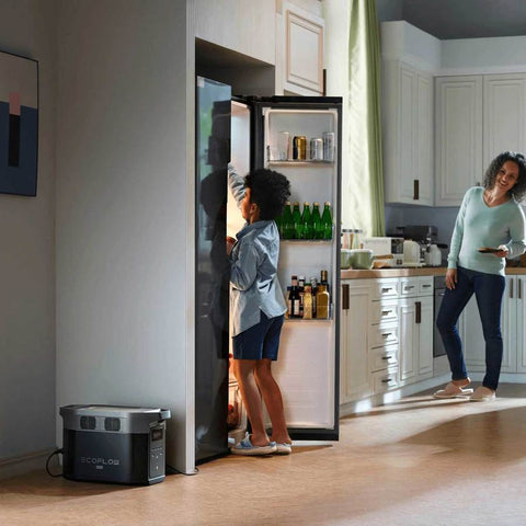 Station électrique portable EcoFlow Delta 2 Max - 2048WH