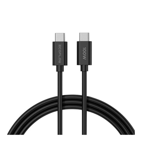 Chargeur Gan Rapid 65W EcoFlow avec câble de 100W