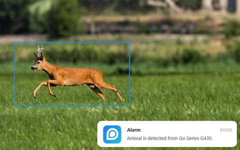 Caméra 4G Reolink Go G450 - Sans Fil avec Vision Nocturne