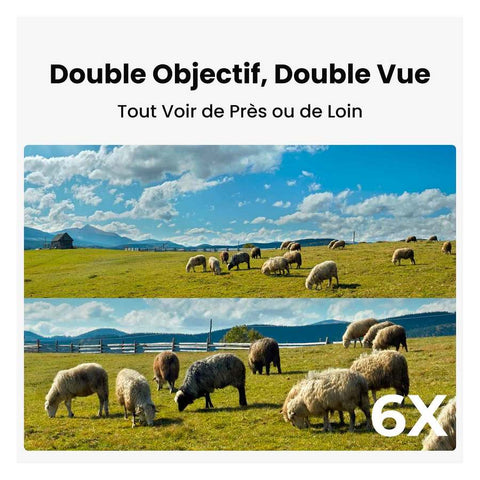 Caméra 4G Reolink Sans Fil à Double Objectifs