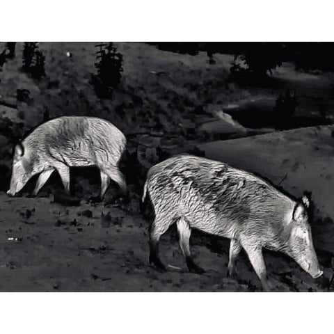 Monoculaire de vision thermique Steiner Nighthunter H35