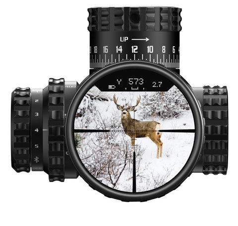 Lunette Burris Veracity PH 4-20X50 - ChasseTir.com