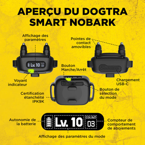 Collier anti-aboiement Dogtra Smart NoBark