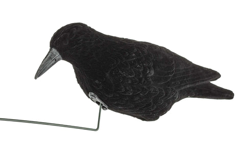 Manège à Corbeaux Electrique Europ-Arm - ChasseTir.com