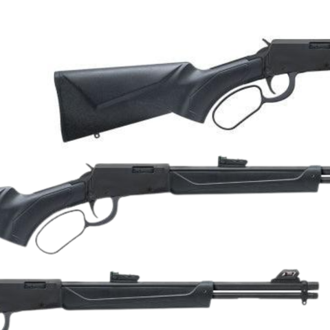 Carabine Rossi RIO Bravo Synthétique - 22 LR