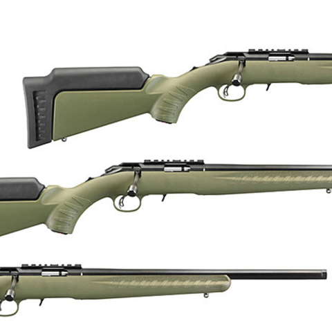 Carabine Ruger American Rimfire - Cal. 22 LR