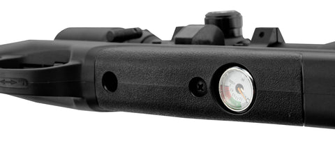 Carabine Beeman PCP Raider 1320