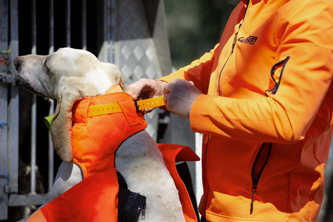 Gilet CaniHunt Protect Pro L'Original