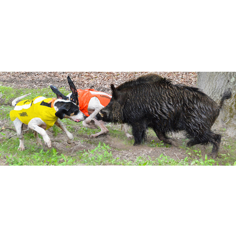 Gilet CaniHunt Protect Pro Cano