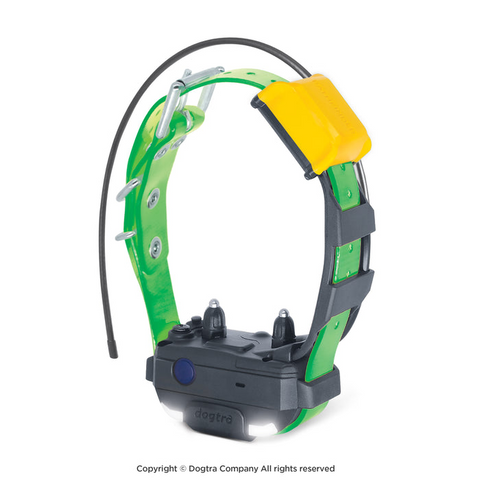 Collier supplémentaire Dogtra Pathfinder Mini V2