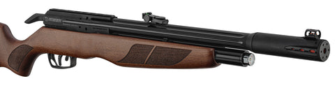 Carabine à plomb PCP Gamo RISER Punisher 40 J - Cal. 5.5 - ChasseTir.com