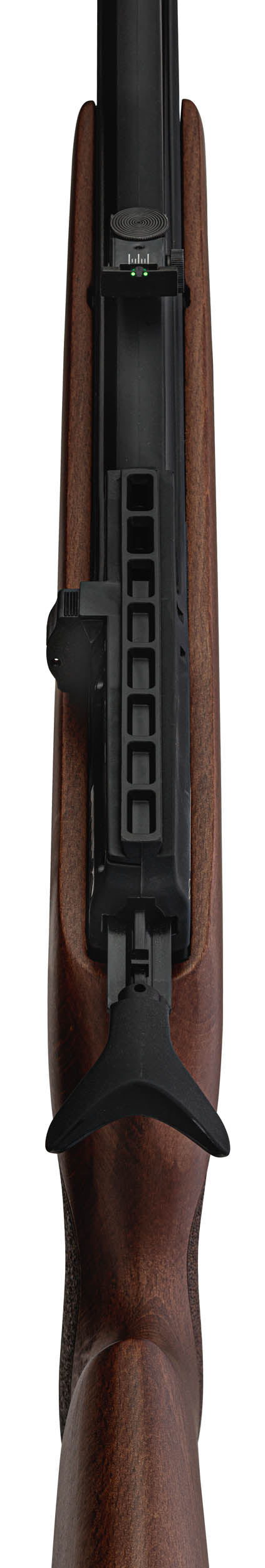 Carabine à plomb PCP Gamo RISER Punisher 40 J - Cal. 5.5