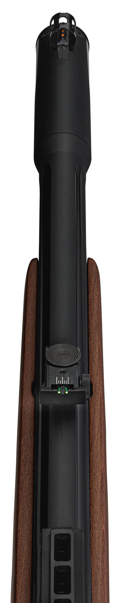 Carabine à plomb PCP Gamo RISER Punisher 40 J - Cal. 5.5 - ChasseTir.com