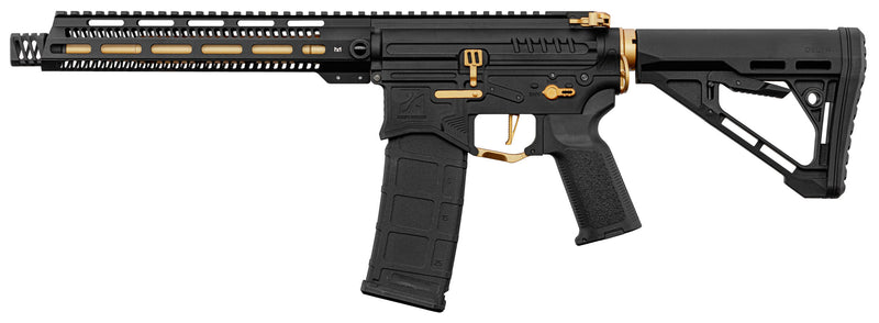 Réplique Zion Arms R15 MOD1 Noir/Or Garde Main Long