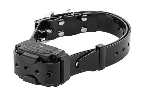 Système Anti-Fugue Num'Axes Canifugue FUG1034 Sans Fil (Borne + collier)
