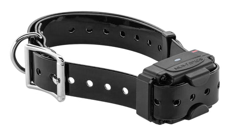 Système Anti-Fugue Num'Axes Canifugue FUG1034 Sans Fil (Borne + collier)