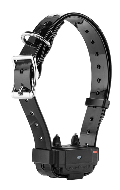 Système Anti-Fugue Num'Axes Canifugue FUG1034 Sans Fil (Borne + collier)
