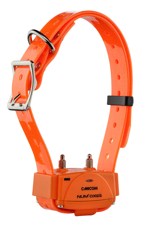 Collier Num'Axes Canicom 1000 Orange