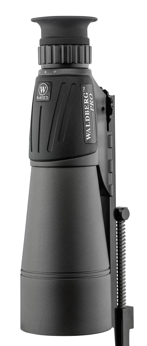 Pack 1/2 Jumelle Hutte Walderg 9x65 ED + Mallette + Compensateur Monobloc