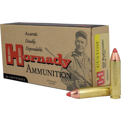 Balles Hornady 450 Bushmaster 250GR FTX 773680