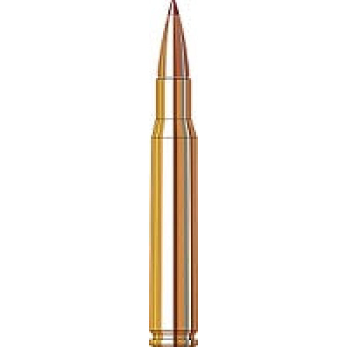 Balles Hornady Superformance Ammunition 30-06 Sprg 165GR CX SPF 785282