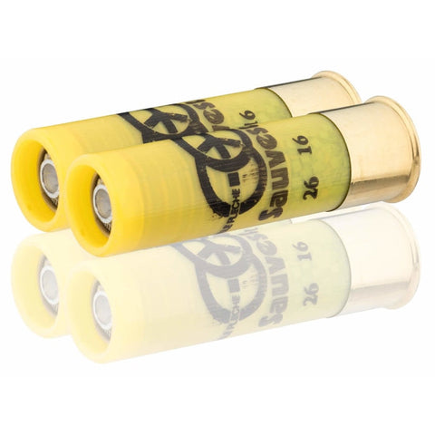 Balles Sauvestre gros gibier - Cal. 20/70 MS220