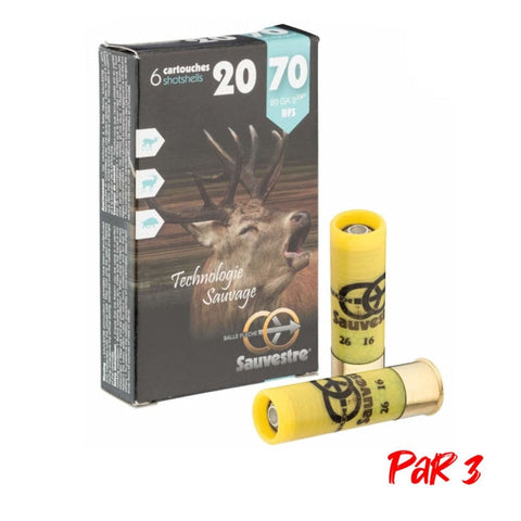 Balles Sauvestre gros gibier - Cal. 20/70 MS220P3