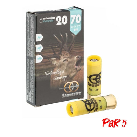 Balles Sauvestre gros gibier - Cal. 20/70 MS220P5