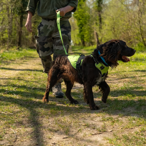 Harnais Wild Tracker X-Color