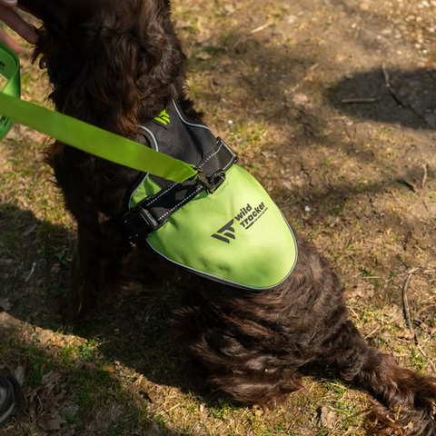 Harnais Wild Tracker X-Color