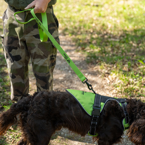 Laisse classique Wild Tracker X-Plore