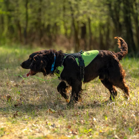 Harnais Wild Tracker X-Color