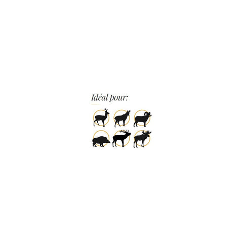 Cartouches Fox Bullets - Cal. 308 Win.