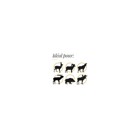 Cartouches Fox Bullets - Cal. 7x57