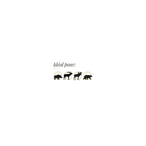 Cartouches Fox Bullets - Cal. 8x57 IS