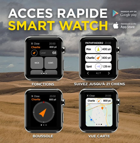 Collier GPS et dressage Dogtra PATHFINDER2