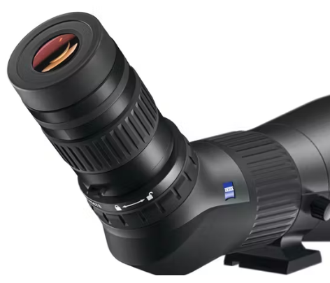Longue vue Zeiss Gavia 85  30 – 60×85 - ChasseTir.com