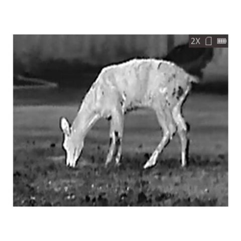 Monoculaire De Vision Thermique HikMicro OWL - OWL OH25 HIKOH25