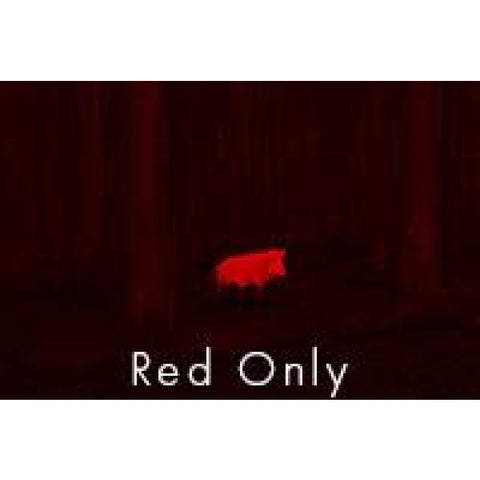 Monoculaire de vision thermique Kahles TI35+ KA20028