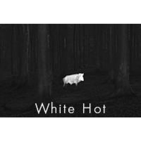 Monoculaire de vision thermique Kahles TI35+ KA20028