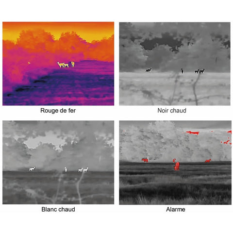 Monoculaire de vision thermique Pixfra M40 DA1004