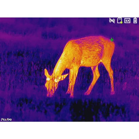 Monoculaire thermique Pixfra Série Arc - Noir DA1040