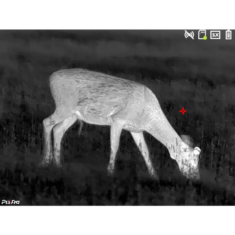 Monoculaire thermique Pixfra Série Ranger - Noir DA1010