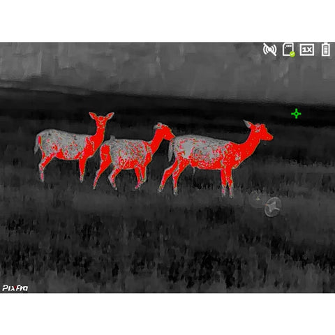 Monoculaire thermique Pixfra Série Ranger - Noir DA1010