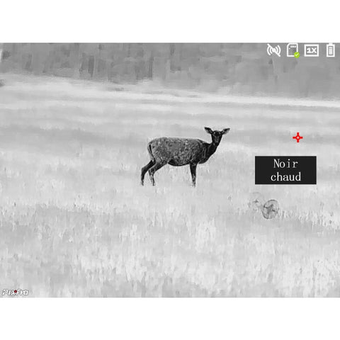 Monoculaire thermique Pixfra Série Ranger - Noir DA1010