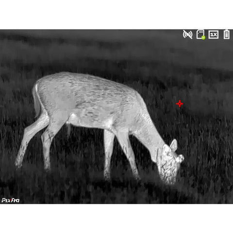 Pack Lunette / Clip-on thermique Pixfra Série Chiron - Noir DA1020