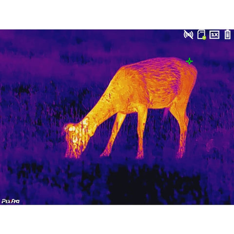 Pack Lunette / Clip-on thermique Pixfra Série Chiron - Noir DA1020